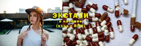 спиды Богородицк