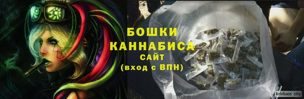 ГАЛЛЮЦИНОГЕННЫЕ ГРИБЫ Богородск