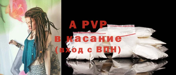 спиды Богородицк