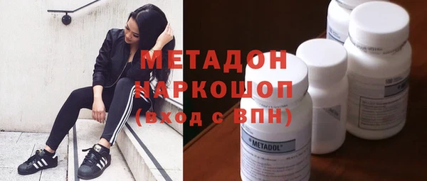 прущие грибы Беломорск