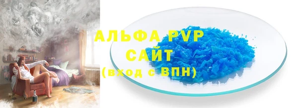 прущие грибы Беломорск