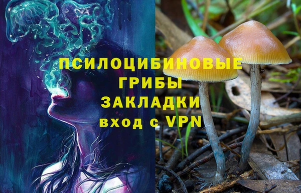 гашишное масло Белокуриха