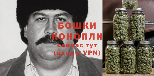 ГАЛЛЮЦИНОГЕННЫЕ ГРИБЫ Богородск