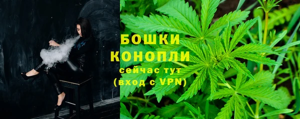 спиды Богородицк