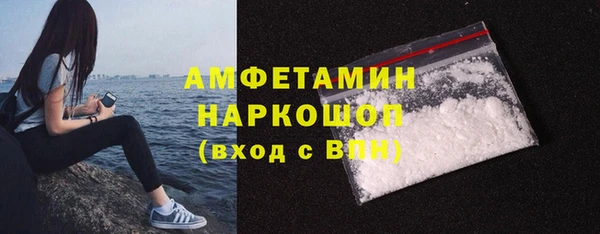 прущие грибы Беломорск