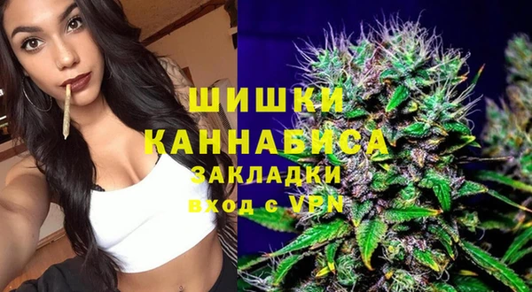 спиды Богородицк